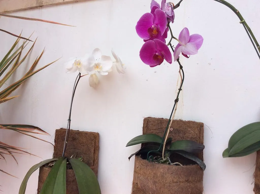 Pousada Casa Das Rosas Armacao dos Buzios